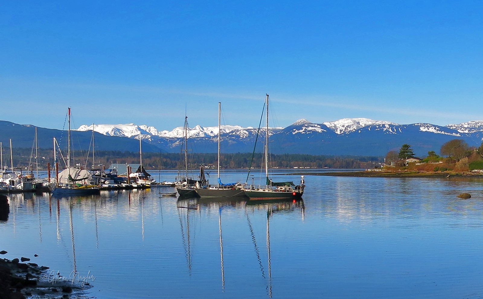 Comox Valley Marina Glenn Naylor Photography